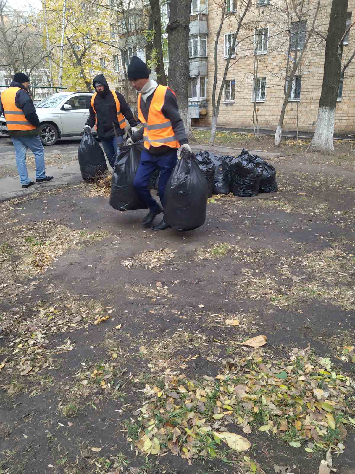 mesachnik2021 vse dk