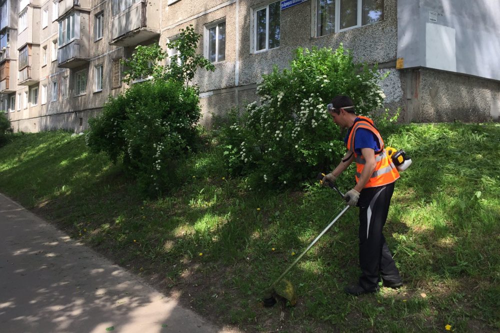 remont det plosh 22